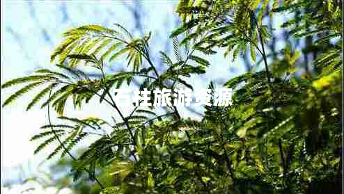 石柱旅游資源 石柱旅游資源