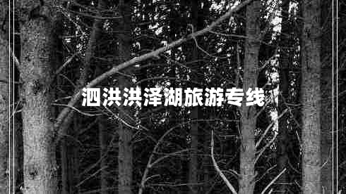 泗洪洪澤湖旅游專(zhuān)線