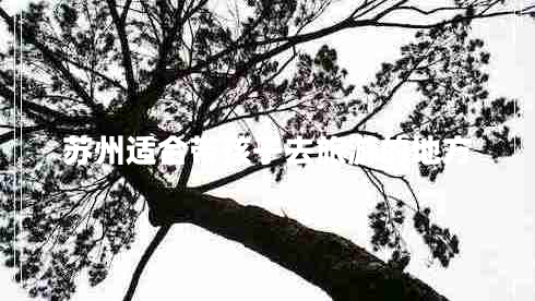 蘇州適合帶孩子去旅游的地方 蘇州適合帶孩子去旅游的地方