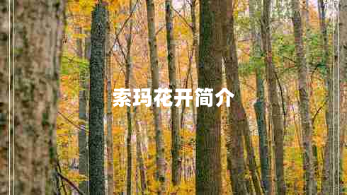 索瑪花開(kāi)簡(jiǎn)介 索瑪花開(kāi)簡(jiǎn)介