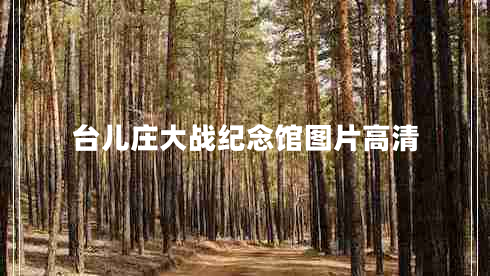 臺(tái)兒莊大戰(zhàn)紀(jì)念館圖片高清 臺(tái)兒莊大戰(zhàn)紀(jì)念館圖片高清