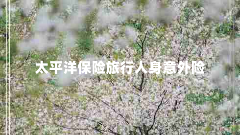 太平洋保險(xiǎn)旅行人身意外險(xiǎn) 太平洋保險(xiǎn)旅行人身意外險(xiǎn)