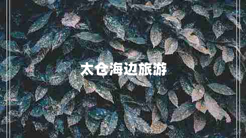 太倉海邊旅游 太倉海邊旅游