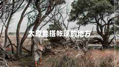 太原能搭帳篷的地方 太原能搭帳篷的地方