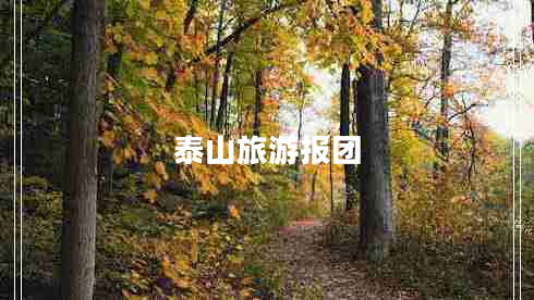 泰山旅游報(bào)團(tuán) 泰山旅游報(bào)團(tuán)