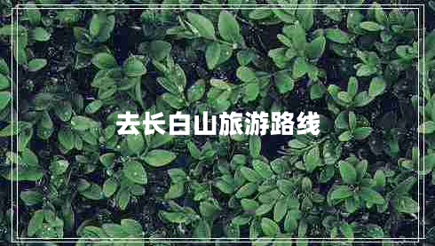 去長白山旅游路線