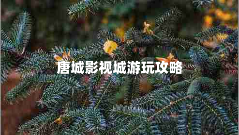 唐城影視城游玩攻略