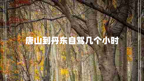 唐山到丹東自駕幾個小時