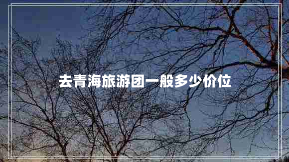 去青海旅游團一般多少價位