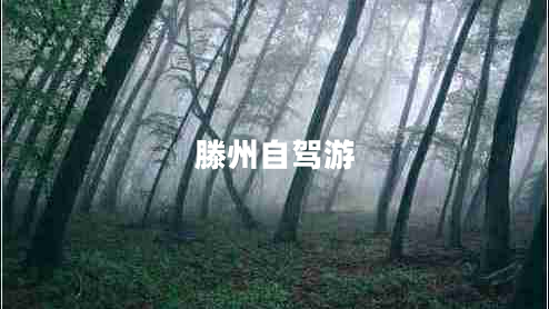 滕州自駕游 滕州自駕游