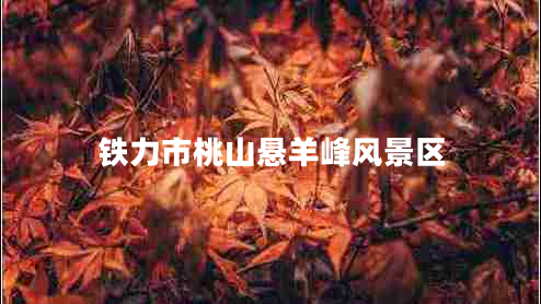 鐵力市桃山懸羊峰風景區(qū) 鐵力市桃山懸羊峰風景區(qū)