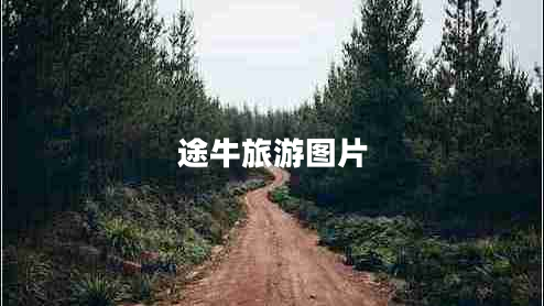 途牛旅游圖片 途牛旅游圖片