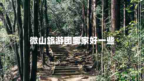 微山旅游團(tuán)哪家好一些 微山旅游團(tuán)哪家好一些