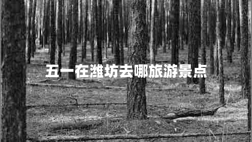 五一在濰坊去哪旅游景點(diǎn) 五一在濰坊去哪旅游景點(diǎn)