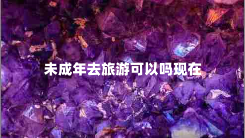 未成年去旅游可以嗎現(xiàn)在 未成年去旅游可以嗎現(xiàn)在
