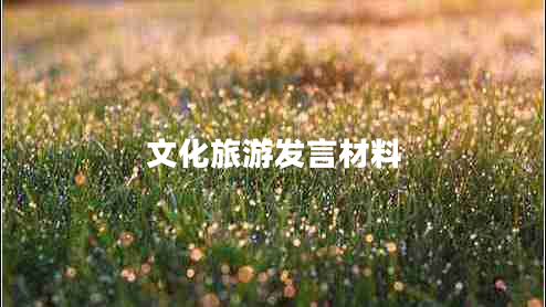 文化旅游發(fā)言材料