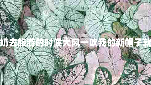 我和奶奶去旅游的時候大風(fēng)一吹我的新帽子就吹跑啦 我和奶奶去旅游的時候大風(fēng)一吹我的新帽子就吹跑啦