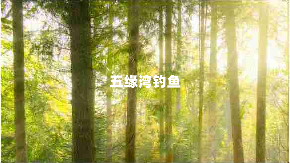 五緣灣釣魚 五緣灣釣魚