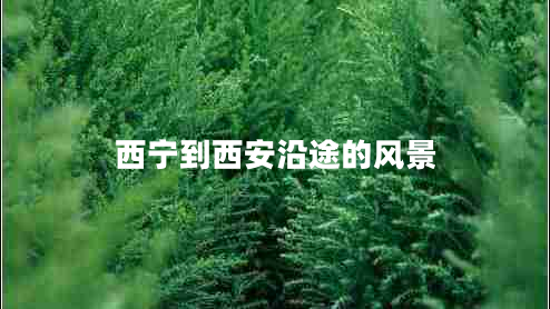 西寧到西安沿途的風(fēng)景 西寧到西安沿途的風(fēng)景