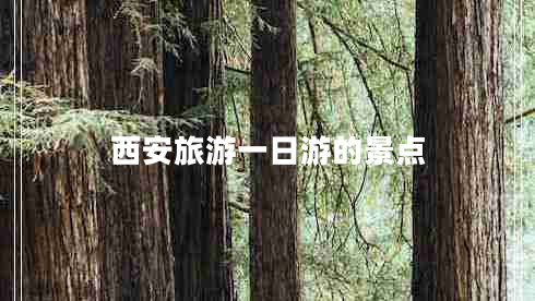 西安旅游一日游的景點(diǎn) 西安旅游一日游的景點(diǎn)