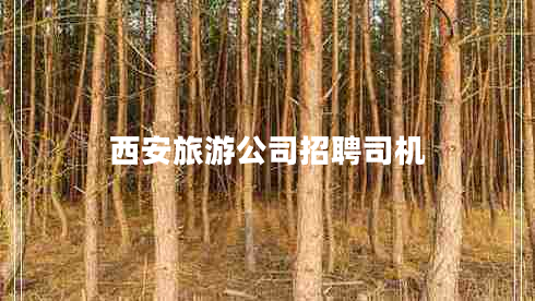 西安旅游公司招聘司機(jī) 西安旅游公司招聘司機(jī)