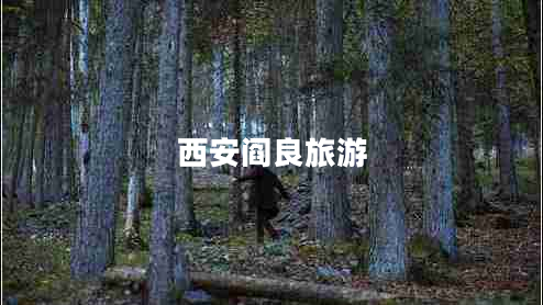 西安閻良旅游 西安閻良旅游