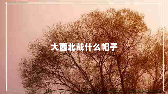 大西北戴什么帽子