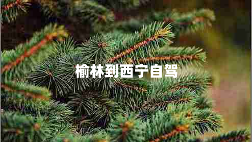 榆林到西寧自駕 榆林到西寧自駕