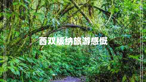 西雙版納旅游感慨