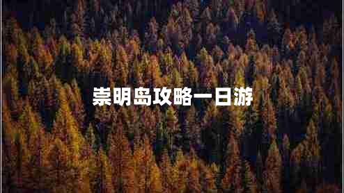 崇明島攻略一日游 崇明島攻略一日游