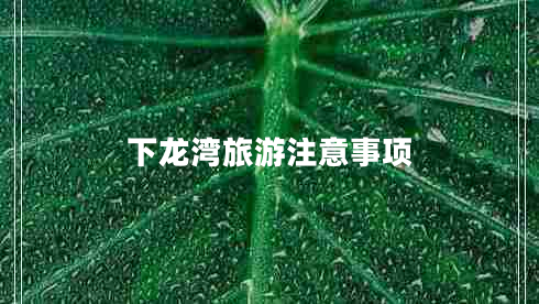 下龍灣旅游注意事項(xiàng) 下龍灣旅游注意事項(xiàng)