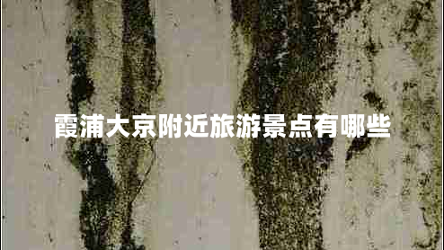 霞浦大京附近旅游景點(diǎn)有哪些