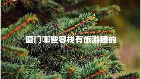 廈門哪些客棧有旅游團的