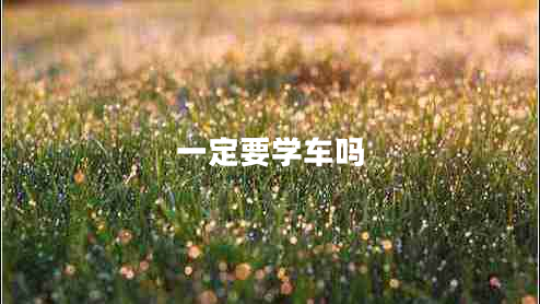 一定要學(xué)車嗎