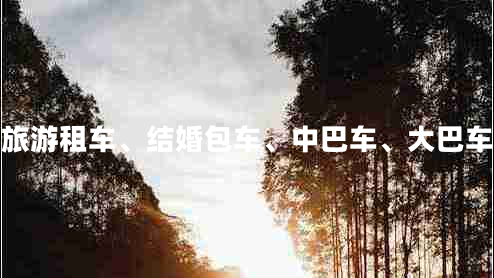 咸陽企業(yè)旅游租車、結婚包車、中巴車、大巴車、商務車