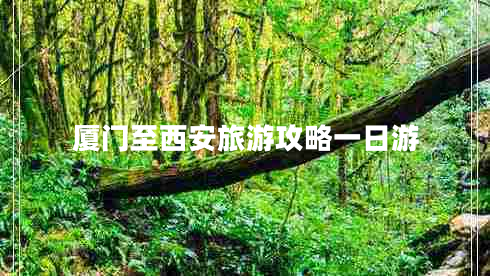 廈門至西安旅游攻略一日游