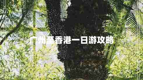 廣州至香港一日游攻略 廣州至香港一日游攻略