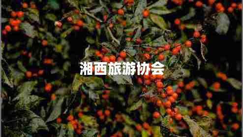 湘西旅游協(xié)會(huì) 湘西旅游協(xié)會(huì)