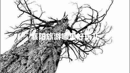 襄陽(yáng)旅游哪里好玩兒