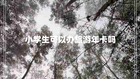 小學(xué)生可以辦旅游年卡嗎