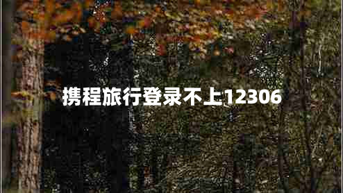 攜程旅行登錄不上12306