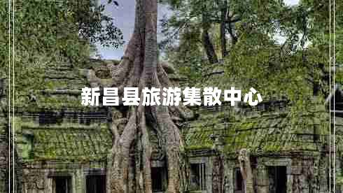 新昌縣旅游集散中心 新昌縣旅游集散中心