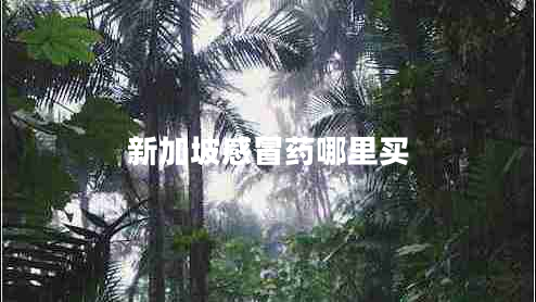 新加坡感冒藥哪里買 新加坡感冒藥哪里買
