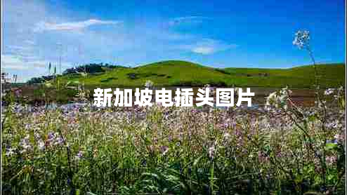 新加坡電插頭圖片