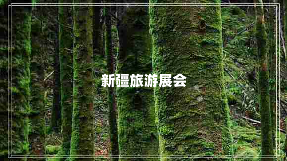 新疆旅游展會 新疆旅游展會