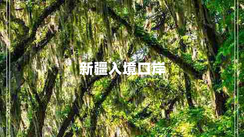 新疆入境口岸 新疆入境口岸