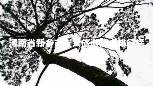 河南省新鄉(xiāng)市十大旅游景點(diǎn)排行榜 河南省新鄉(xiāng)市十大旅游景點(diǎn)排行榜