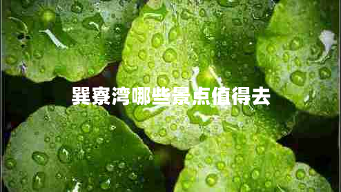 巽寮灣哪些景點(diǎn)值得去 巽寮灣哪些景點(diǎn)值得去