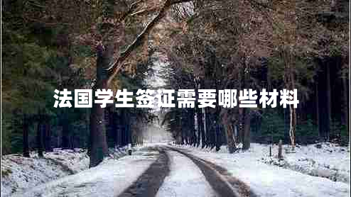 法國(guó)學(xué)生簽證需要哪些材料 法國(guó)學(xué)生簽證需要哪些材料