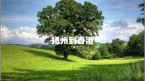 揚(yáng)州到香港 揚(yáng)州到香港